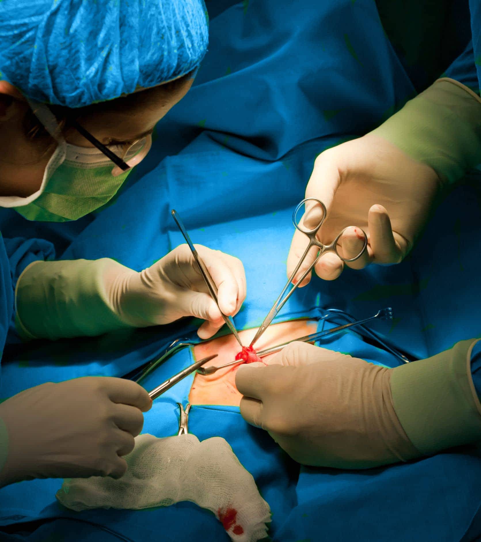 surgical first assistant programs in michigan